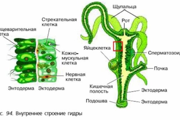 Ссылка на кракен kr2web in