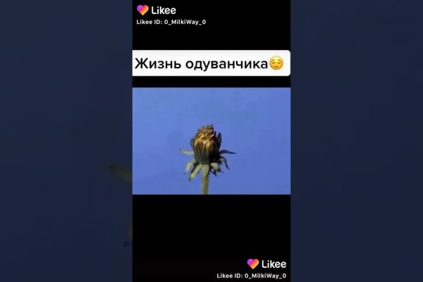 Какой нужен тор чтоб зайти в кракен