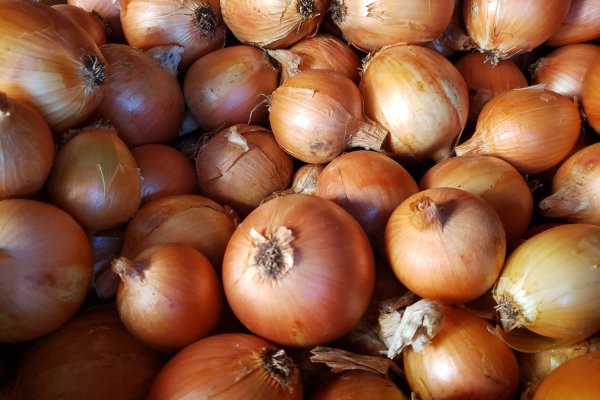 Кракен ссылка market pw