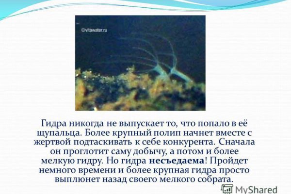 Аналог гидры