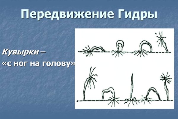 Kraken дарк магазин