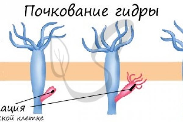 Забыл пароль кракен