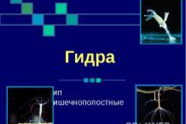 Кракен сайт вход официальный зеркало