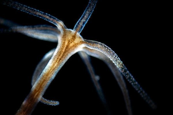 Кракен даркнет ссылка kraken link24 info