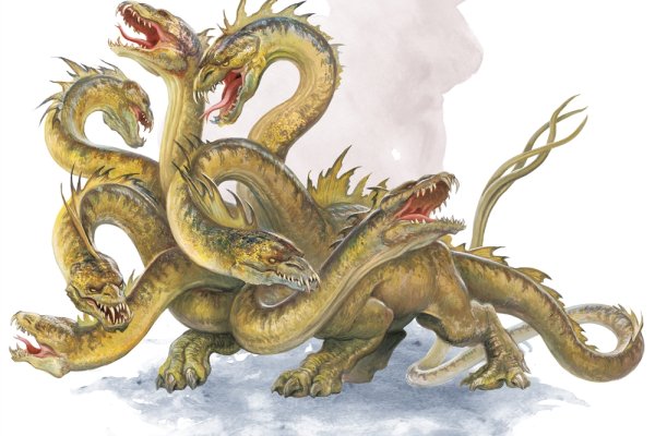 Kraken 19at